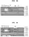 Fig. 11 - Printed circuit board including embedded chips and method of fabricating the same using plating