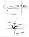 Fig. 15 - Mounting pad structure for wire-bonding type lead frame packages