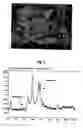Fig. 05 - Method and apparatus for supercritical fluid assisted particle production