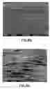 Fig. 07 - Method of uniaxially expanding a fluoropolymer product