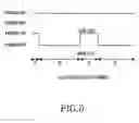 Fig. 06 - Apparatus and method for controlling power of a liquid crystal display in a mobile communication terminal