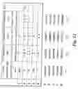 Fig. 09 - Method and system for compositing three-dimensional graphics images using associative decision mechanism