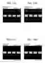 Fig. 24 - Liquid crystal display device
