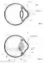 Fig. 09 - Method and system for vision enhancement