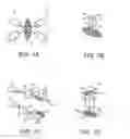 Fig. 02 - Systems and methods for in-vivo and optical imaging and measurement
