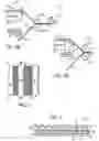 Fig. 02 - Continuous lenticular image label web