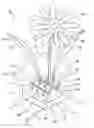 Fig. 01 - Light emitting decoration apparatus