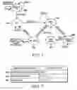 Fig. 06 - Method and apparatus for performing neighbor tracking in a wireless local area network
