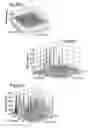 Fig. 06 - Waveguide structure