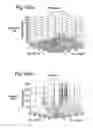 Fig. 08 - Waveguide structure