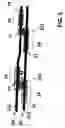 Fig. 06 - Optical coupler
