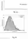 Fig. 09 - Optical fiber having a low polarization mode dispersion and process and apparatus for producing it