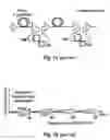 Fig. 02 - Advanced dispersion map for DSF transmission system