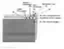 Fig. 01 - Backlight unit and liquid-crystal display device using the same