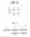 Fig. 02 - System and method of time-slotted optical burst switching