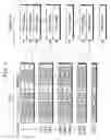 Fig. 02 - Print control device and print control method