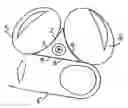 Fig. 01 - Grip for hand held instruments