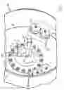 Fig. 06 - Vibratory system for compactor vehicles