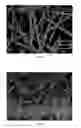 Fig. 07 - Process for producing silicon carbide fibers essentially devoid of whiskers