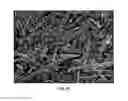 Fig. 08 - Process for producing silicon carbide fibers essentially devoid of whiskers