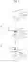 Fig. 02 - Skin material for external use and antiprutiric agent for external use and wrinkle-instrument using the same