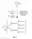 Fig. 07 - Nano-structured blood substitutes