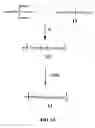 Fig. 09 - Nano-structured blood substitutes
