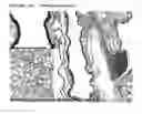 Fig. 26 - Immunogenic composition comprising an il-13 element and t cell epitopes, and its therapeutic use