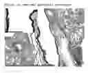 Fig. 27 - Immunogenic composition comprising an il-13 element and t cell epitopes, and its therapeutic use
