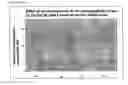 Fig. 29 - Immunogenic composition comprising an il-13 element and t cell epitopes, and its therapeutic use