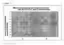 Fig. 35 - Immunogenic composition comprising an il-13 element and t cell epitopes, and its therapeutic use