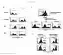 Fig. 02 - Different dendritic cell subsets