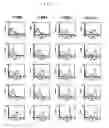 Fig. 09 - Different dendritic cell subsets