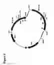Fig. 07 - Immunoglobulin DNA cassette molecules, monobody constructs, methods of production, and methods of use therefor