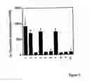 Fig. 07 - Anticancer vaccine and diagnostic methods and reagents