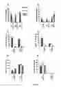 Fig. 09 - Anticancer vaccine and diagnostic methods and reagents