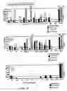 Fig. 07 - Materials and methods for immunizing against FIV infection