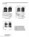Fig. 20 - Immunogenic compositions