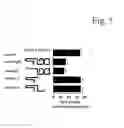 Fig. 06 - Pharmaceutical compositions comprising bone morphogenetic protein monomers for inhibiting bone formation