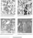 Fig. 08 - Methods for and compositions of anticancer medicaments