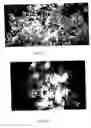 Fig. 03 - Volume maintaining osteoinductive/osteoconductive compositions