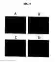 Fig. 04 - Composition for preventing or treating allergic disease using black rice extract and its therapeutic use