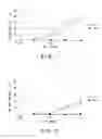 Fig. 02 - Blood pressure-lowering agent, vascular flexibility -improving agent and foods having these functions imparted thereto