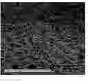 Fig. 01 - Method for making ePTFE and structure containing such ePTFE, such as a vascular graft