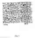 Fig. 04 - Double silver low-emissivity and solar control coatings