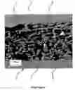 Fig. 02 - Metallic sandwich sheet