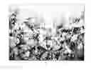 Fig. 04 - Color steel sheet with embossed patterns on one side thereof