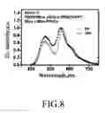 Fig. 07 - Organic polymer light emitting diode device and applied display