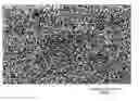 Fig. 01 - Positive battery electrodes and positive electrode fabrication methods