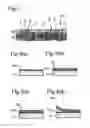 Fig. 02 - Anode for nonaqueous secondary battery, process of producing the anode, and nonaqueous secondary battery